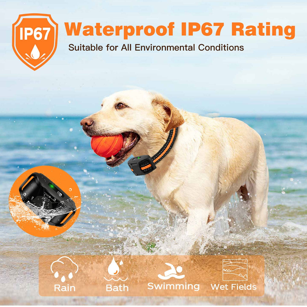 Electric Dog Shock Training Collar - Waterproof & Remote Control