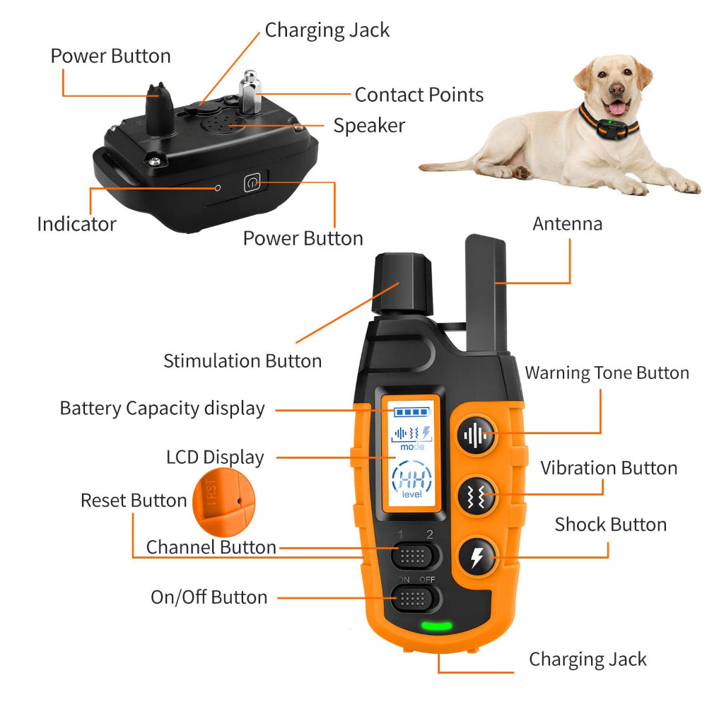 Electric Dog Shock Training Collar - Waterproof & Remote Control